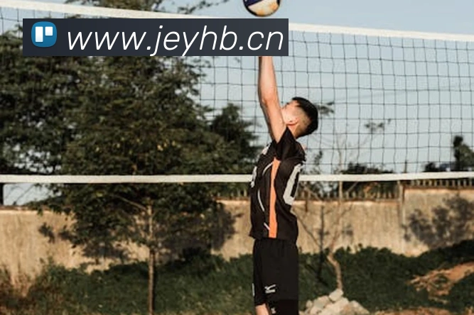 半岛在线登录入口APP 封面图